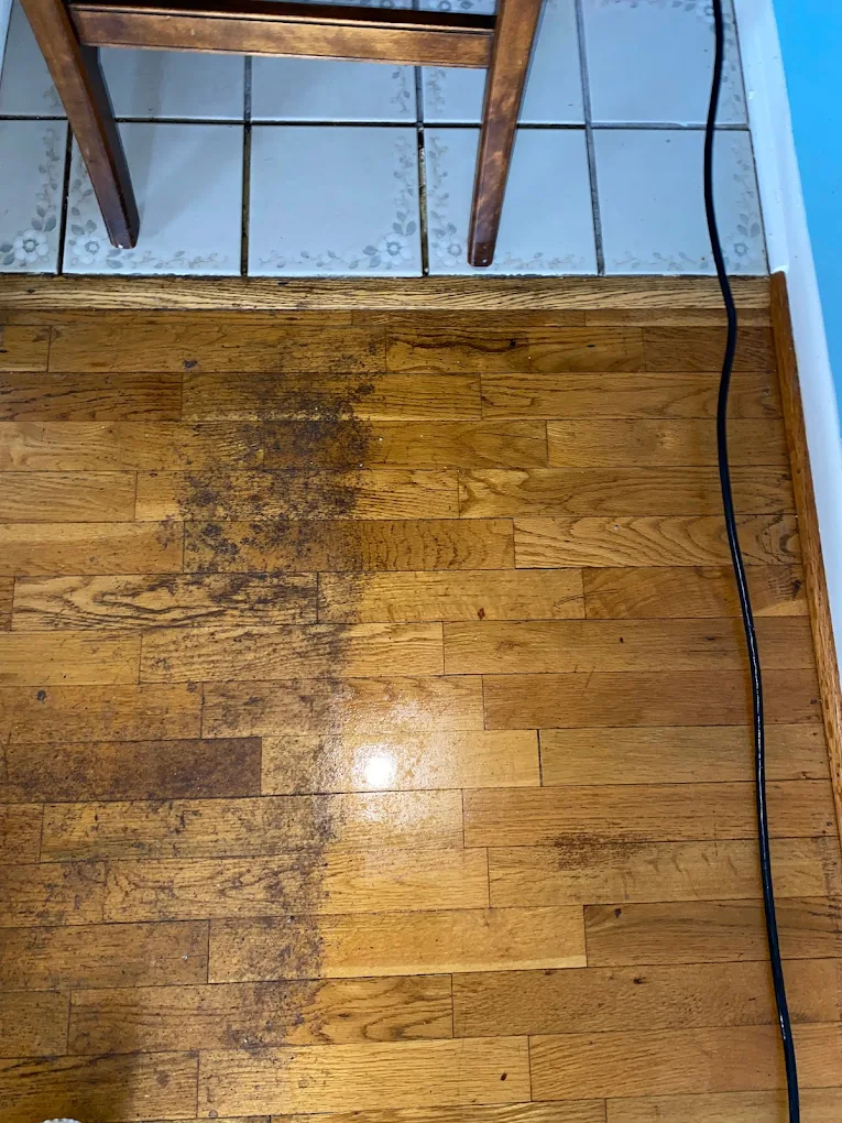 Mold remediation on hardwood floors